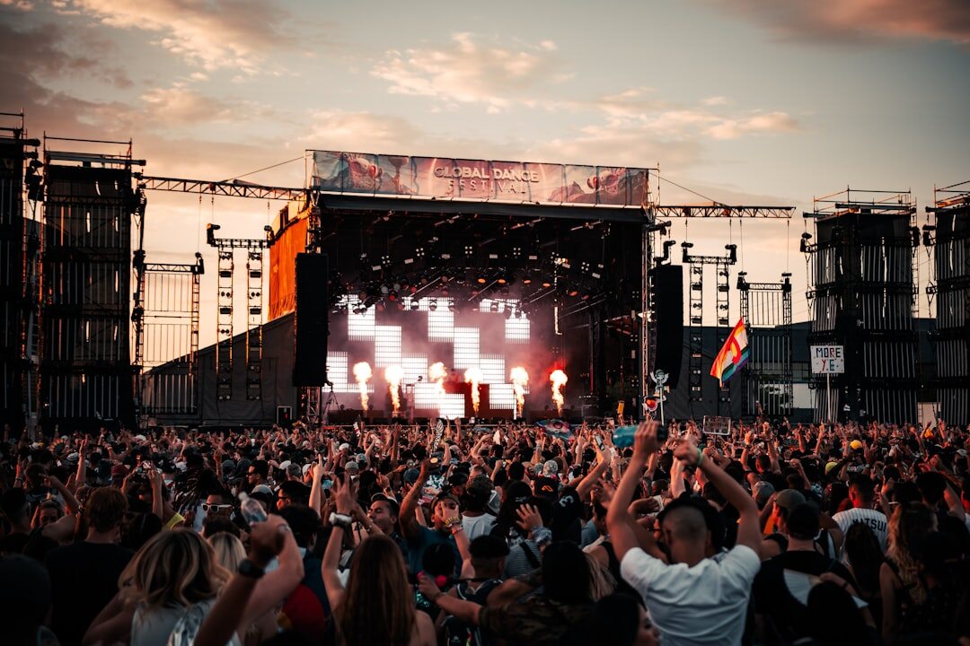 crowd at music festival
